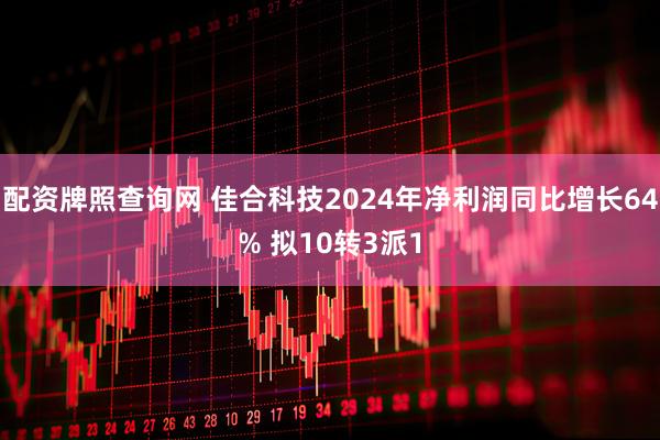 配资牌照查询网 佳合科技2024年净利润同比增长64% 拟10转3派1