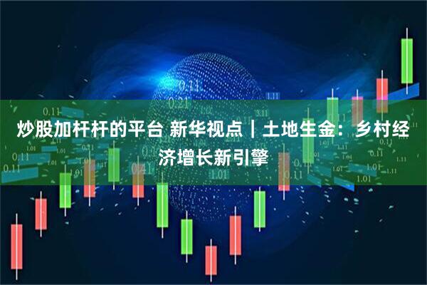 炒股加杆杆的平台 新华视点｜土地生金：乡村经济增长新引擎