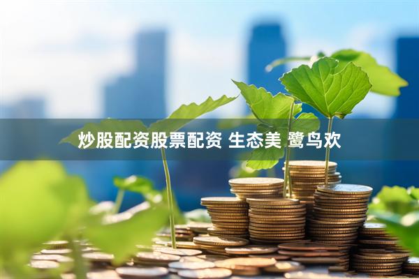 炒股配资股票配资 生态美 鹭鸟欢