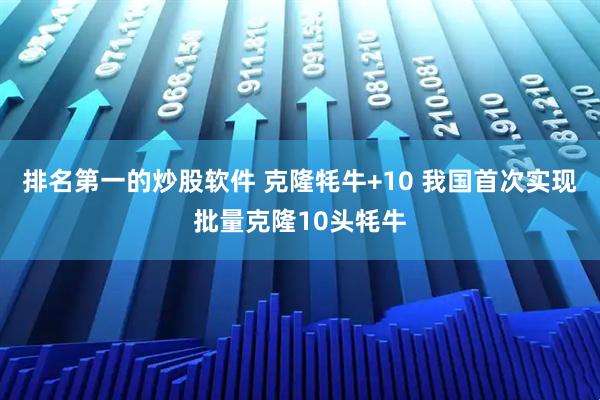 排名第一的炒股软件 克隆牦牛+10 我国首次实现批量克隆10头牦牛
