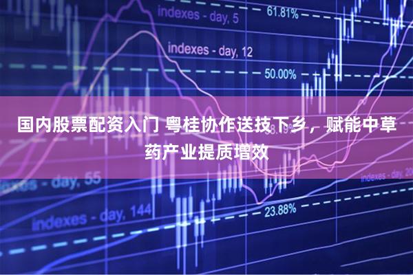 国内股票配资入门 粤桂协作送技下乡，赋能中草药产业提质增效